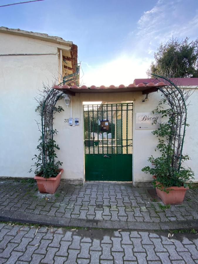 Biscuit B&B Pisa Eksteriør billede